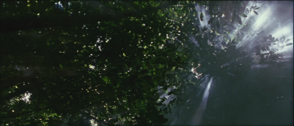 The Thin Red Line von Terrence Malick