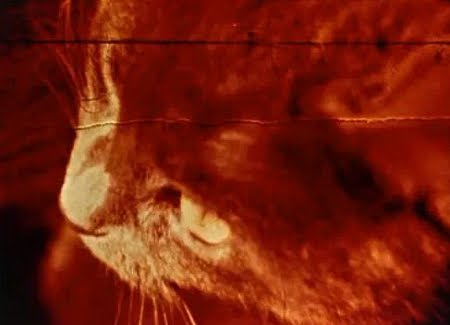 a3ca9a_9b37c23b8b4a04282c1158ae17c49eb8