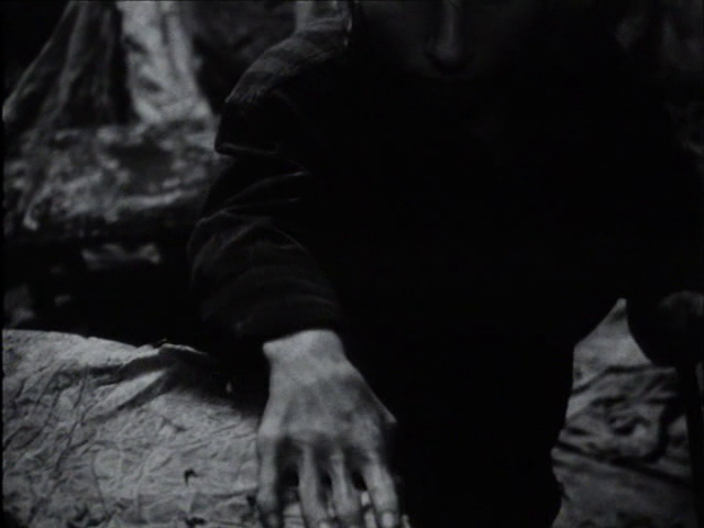 vlcsnap-2016-01-12-21h58m12s933