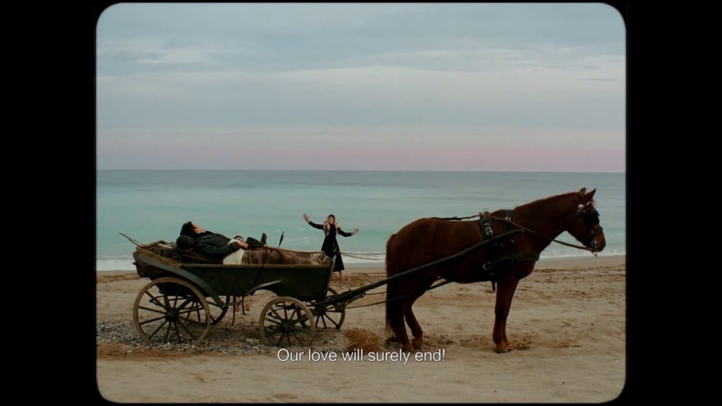 Inimi cicatrizate von Radu Jude