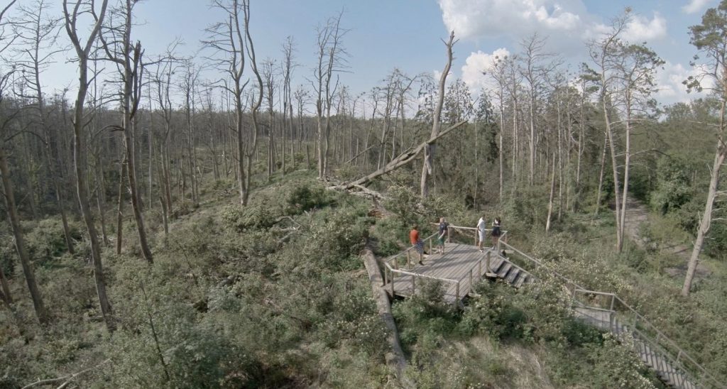 Rūgštus miškas von Rugilė Barzdžiukaitė